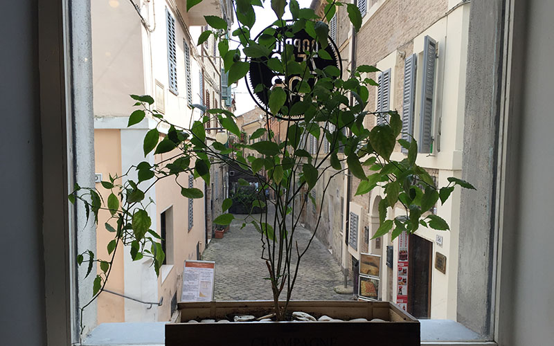 doppio-zero-finestra