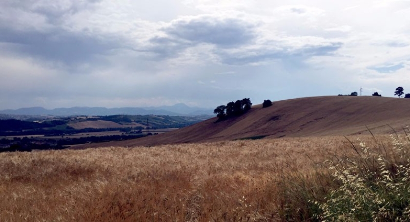 estate2015