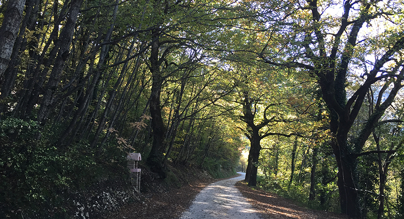 santuario-madonna-grotta-bosco