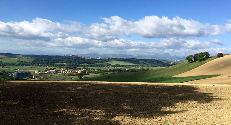 colline-marche-promavera