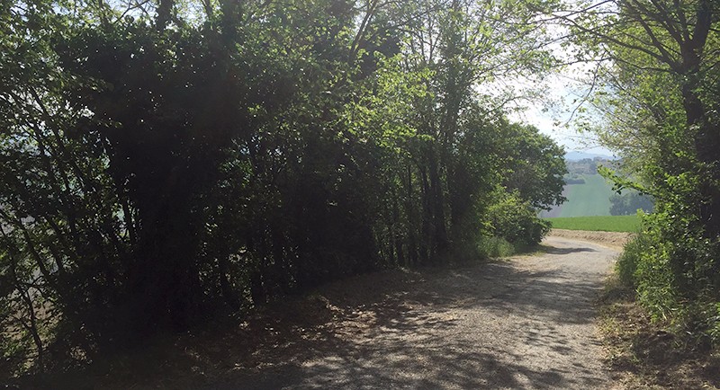 paesaggio-marche-aprile